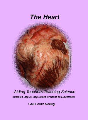 The_Heart